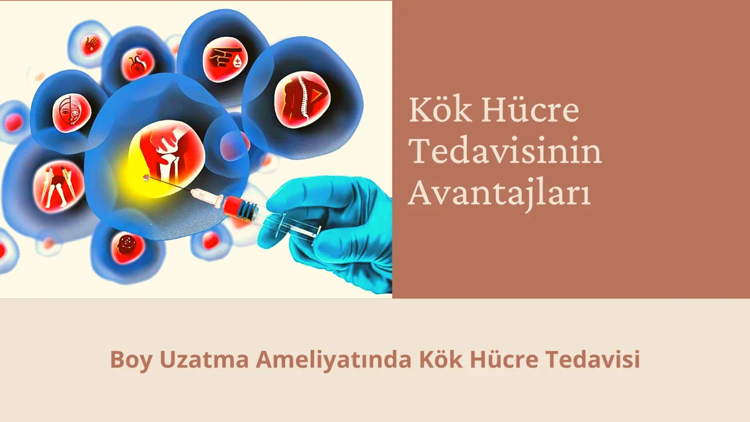 Kök Hücre Tedavisinin Faydaları Nelerdir?